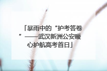 暴雨中的“护考答卷”——武汉新洲公安暖心护航高考首日