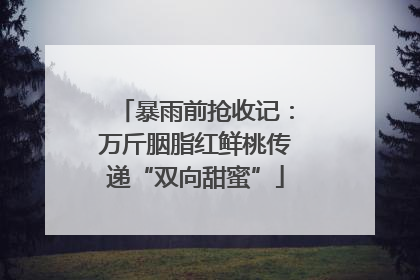 暴雨前抢收记：万斤胭脂红鲜桃传递“双向甜蜜”