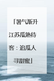 暑气渐升江苏瓜熟待客：追瓜人寻甜蜜