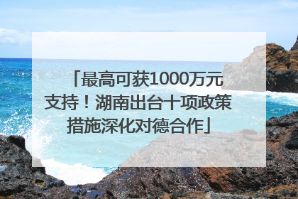 最高可获1000万元支持！湖南出台十项政策措施深化对德合作