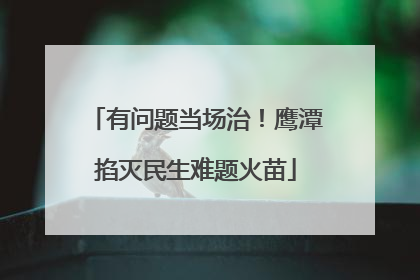 有问题当场治！鹰潭掐灭民生难题火苗