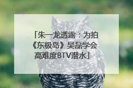 朱一龙透露：为拍《东极岛》吴磊学会高难度BTV潜水