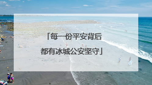 每一份平安背后 都有冰城公安坚守