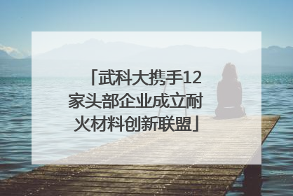 武科大携手12家头部企业成立耐火材料创新联盟