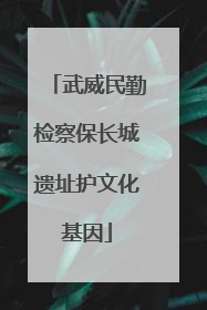 武威民勤检察保长城遗址护文化基因
