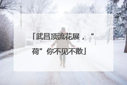 武昌顶流花展，“荷”你不见不散
