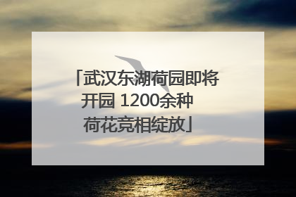 武汉东湖荷园即将开园 1200余种荷花竞相绽放