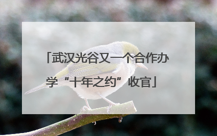 武汉光谷又一个合作办学“十年之约”收官