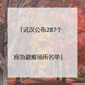 武汉公布287个应急避难场所名单