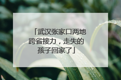 武汉张家口两地跨省接力，走失的孩子回家了