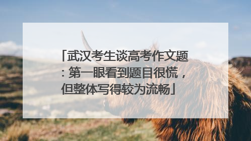 武汉考生谈高考作文题：第一眼看到题目很慌，但整体写得较为流畅