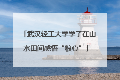 武汉轻工大学学子在山水田间感悟“粮心”