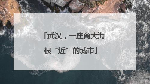 武汉，一座离大海很“近”的城市