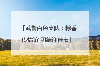 武警百色支队：粽香传情谊 团结迎佳节