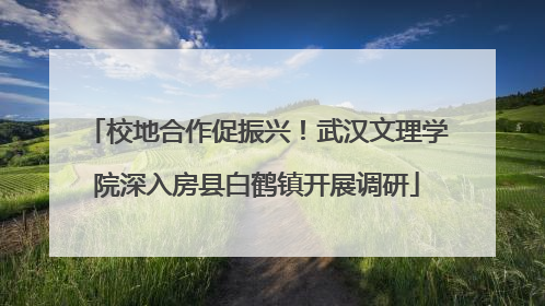 校地合作促振兴！武汉文理学院深入房县白鹤镇开展调研