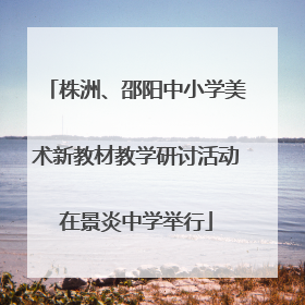 株洲、邵阳中小学美术新教材教学研讨活动在景炎中学举行