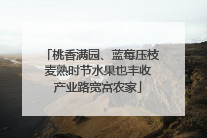 桃香满园、蓝莓压枝 麦熟时节水果也丰收 产业路宽富农家