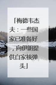 梅德韦杰夫：一些国家已准备好，向伊朗提供自家核弹头
