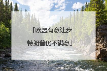 欧盟有意让步 特朗普仍不满意