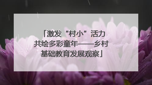 激发“村小”活力 共绘多彩童年——乡村基础教育发展观察