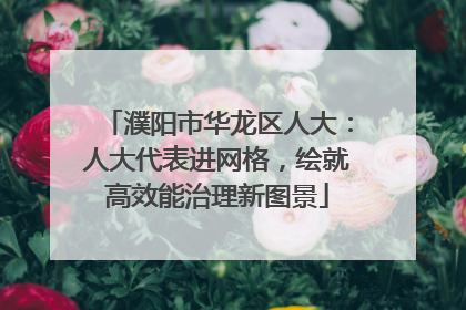 濮阳市华龙区人大：人大代表进网格，绘就高效能治理新图景