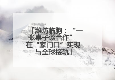 潍坊临朐：“一张桌子谈合作” 在“家门口”实现与全球接轨
