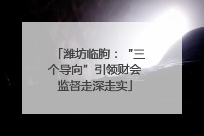 潍坊临朐：“三个导向”引领财会监督走深走实