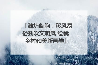 潍坊临朐：移风易俗劲吹文明风 绘就乡村和美新画卷