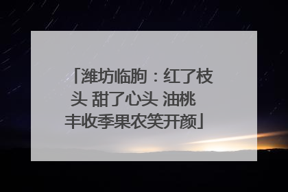 潍坊临朐：红了枝头 甜了心头 油桃丰收季果农笑开颜
