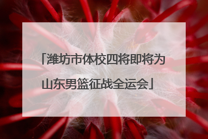 潍坊市体校四将即将为山东男篮征战全运会