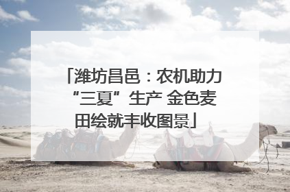 潍坊昌邑：农机助力“三夏”生产 金色麦田绘就丰收图景