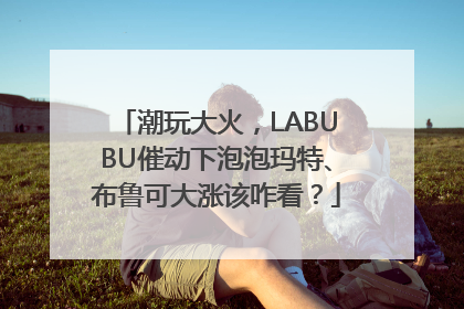 潮玩大火，LABUBU催动下泡泡玛特、布鲁可大涨该咋看？
