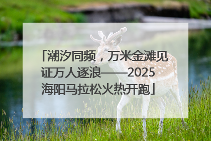 潮汐同频，万米金滩见证万人逐浪——2025海阳马拉松火热开跑