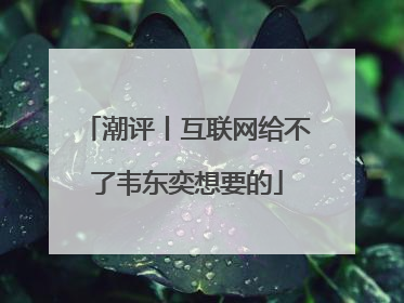 潮评丨互联网给不了韦东奕想要的