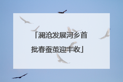 澜沧发展河乡首批春蚕茧迎丰收