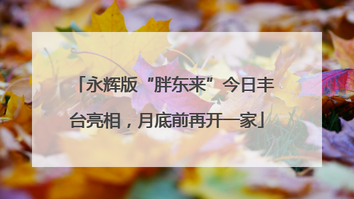 永辉版“胖东来”今日丰台亮相，月底前再开一家
