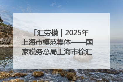 汇劳模｜2025年上海市模范集体——国家税务总局上海市徐汇区税务局第一税务所