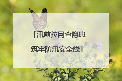 汛前拉网查隐患 筑牢防汛安全线