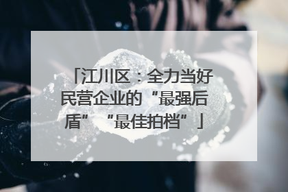 江川区：全力当好民营企业的“最强后盾”“最佳拍档”