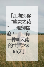 江湖别称“幽灵之花”，现身临沧！——有一种叫云南的生活之365天