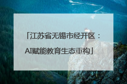 江苏省无锡市经开区：AI赋能教育生态重构