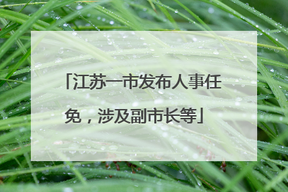 江苏一市发布人事任免，涉及副市长等