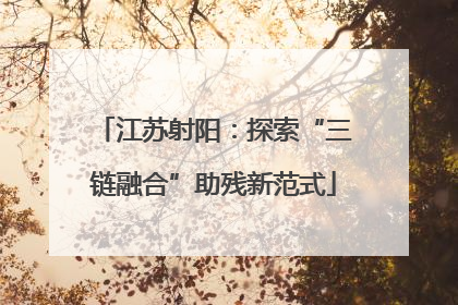 江苏射阳：探索“三链融合”助残新范式