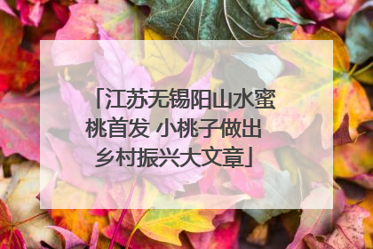 江苏无锡阳山水蜜桃首发 小桃子做出乡村振兴大文章