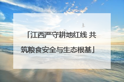 江西严守耕地红线 共筑粮食安全与生态根基