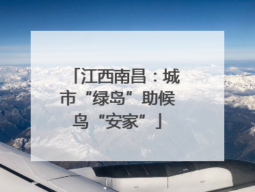江西南昌：城市“绿岛”助候鸟“安家”