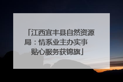 江西宜丰县自然资源局：情系业主办实事 贴心服务获锦旗
