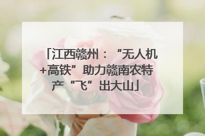 江西赣州：“无人机+高铁”助力赣南农特产“飞”出大山