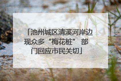 池州城区清溪河岸边现众多“梅花桩” 部门回应市民关切