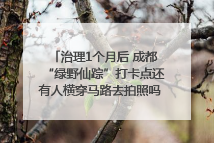 治理1个月后 成都“绿野仙踪”打卡点还有人横穿马路去拍照吗？｜民情瞭望